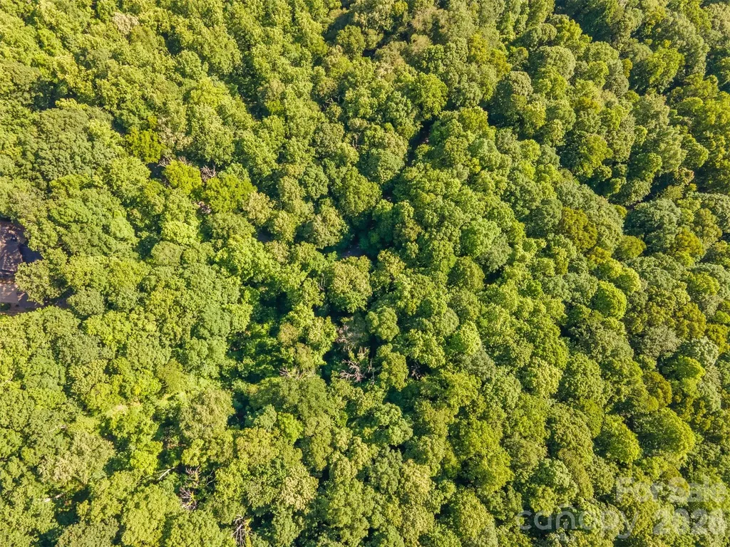 Lot 57 Morningside Drive Tuckasegee NC 28783