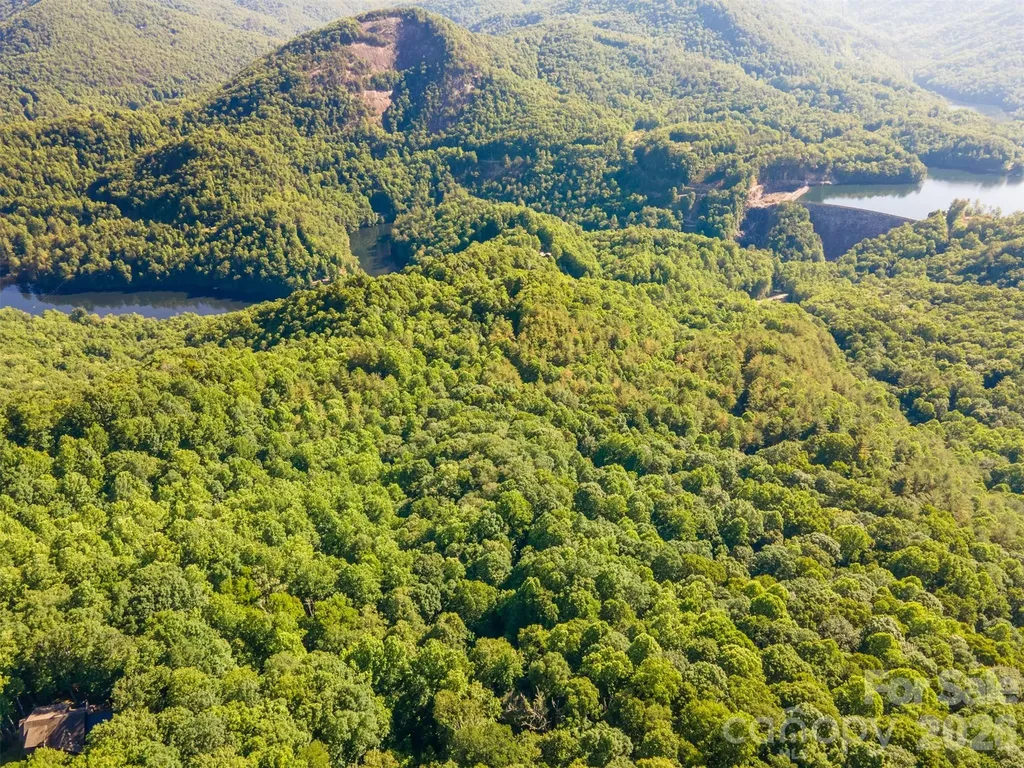 Lot 57 Morningside Drive Tuckasegee NC 28783