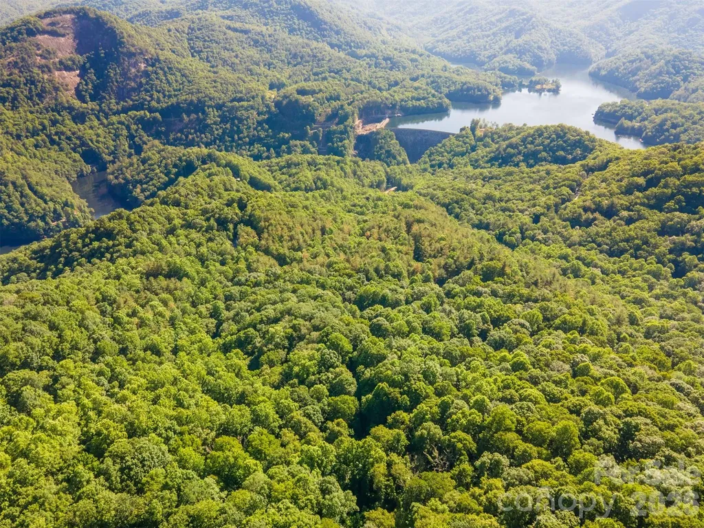 Lot 57 Morningside Drive Tuckasegee NC 28783