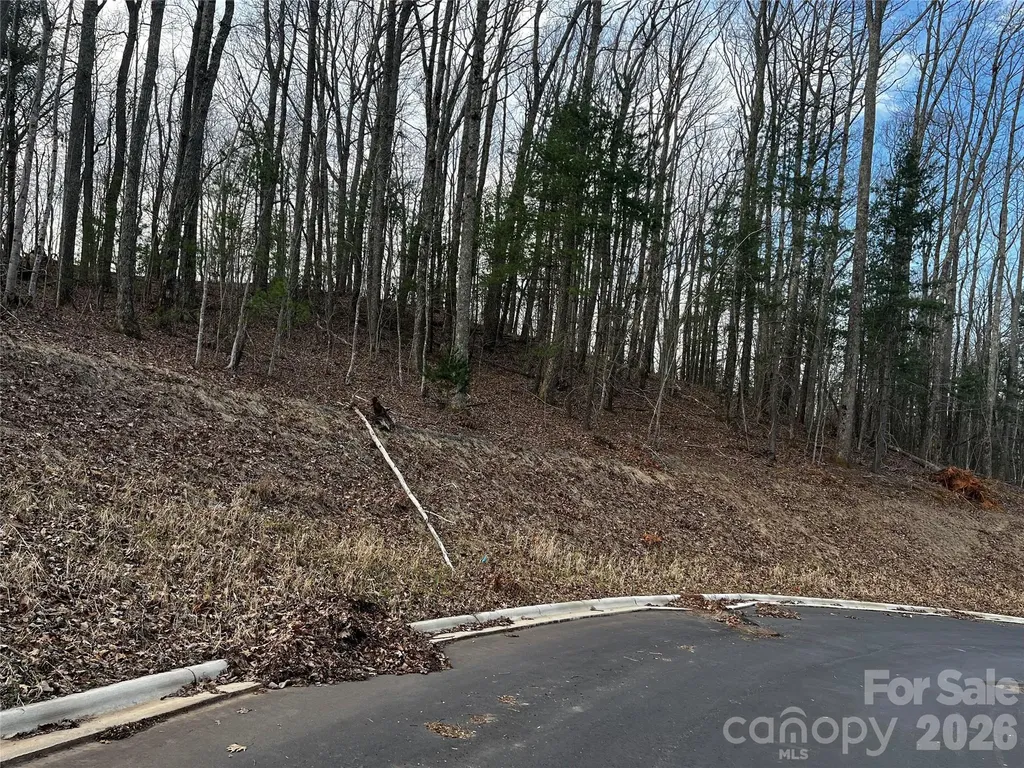 105 Woodland Meadows Drive Asheville NC 28803