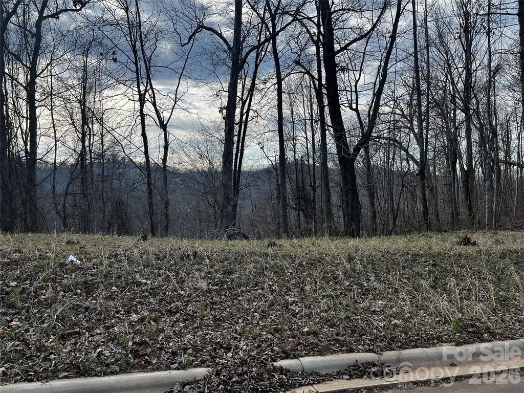 105 Woodland Meadows Drive Asheville NC 28803
