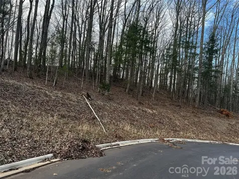 105 Woodland Meadows Drive Asheville NC 28803