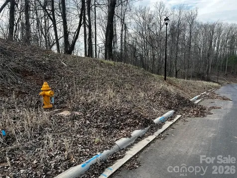 105 Woodland Meadows Drive Asheville NC 28803
