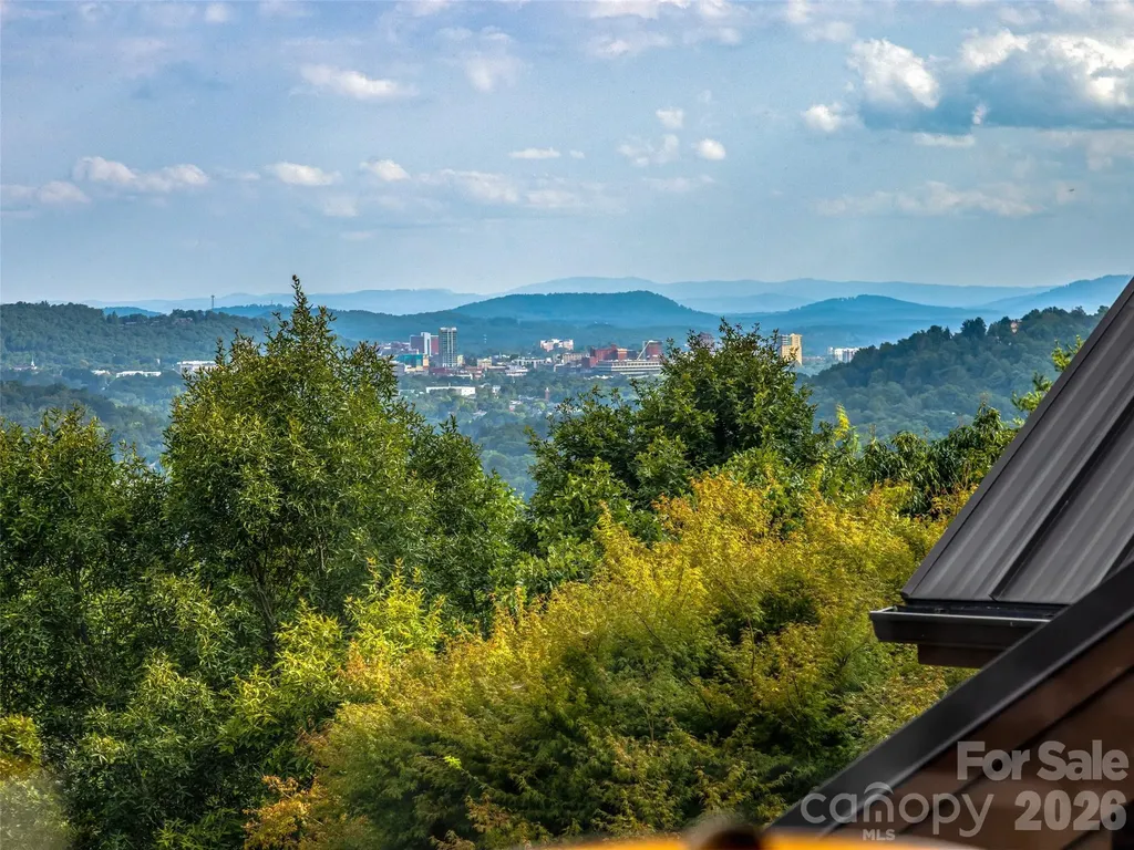 10 Beaverbrook Court Asheville NC 28804