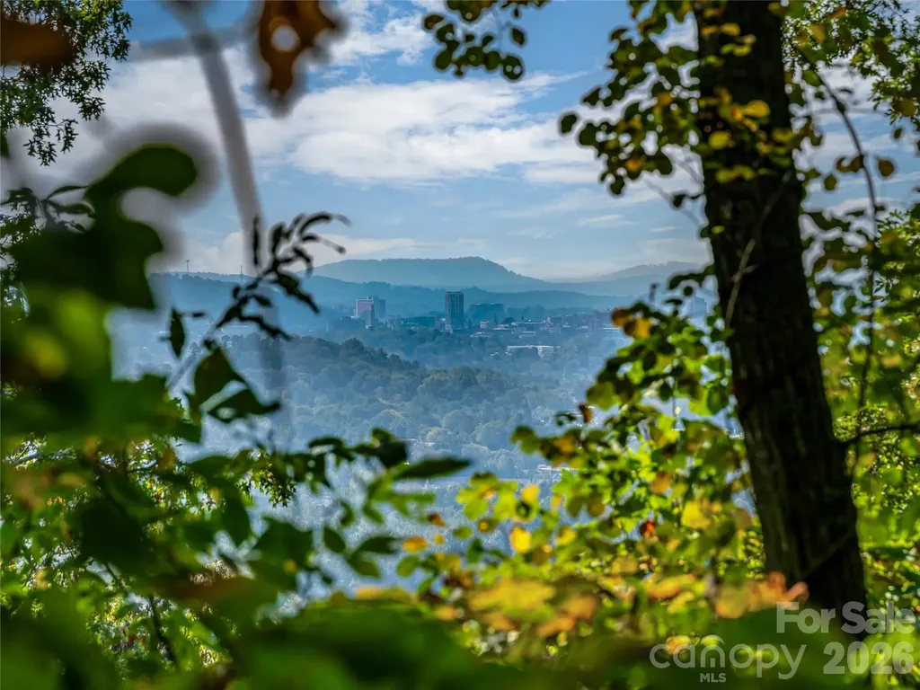 10 Beaverbrook Court Asheville NC 28804