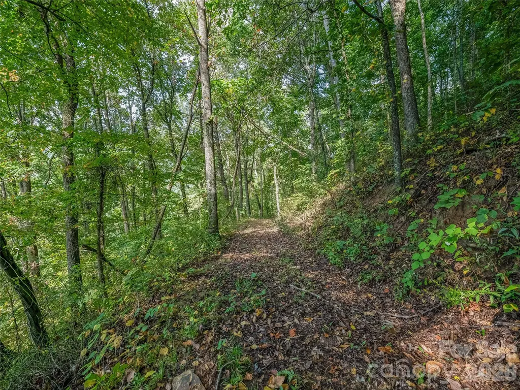 10 Beaverbrook Court Asheville NC 28804