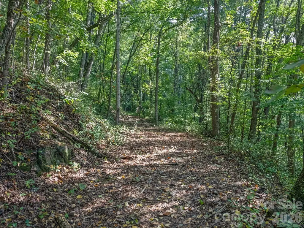 10 Beaverbrook Court Asheville NC 28804