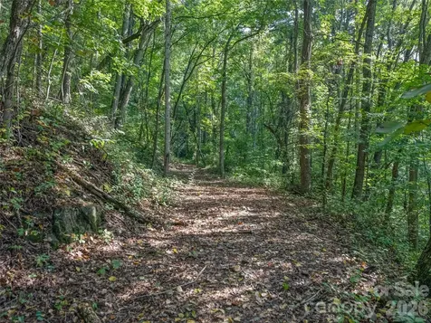 10 Beaverbrook Court Asheville NC 28804