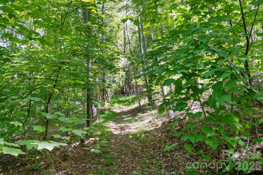 30 Reeves Drive Burnsville NC 28714