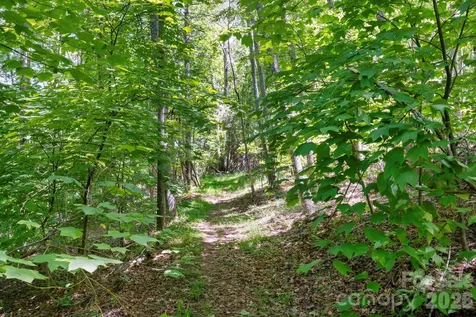 30 Reeves Drive Burnsville NC 28714