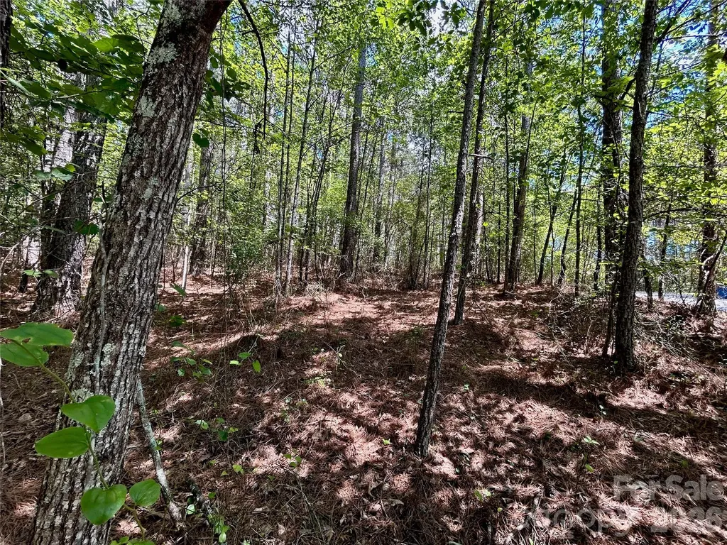 1074 W Hidden Cove Lane Connelly Springs NC 28612