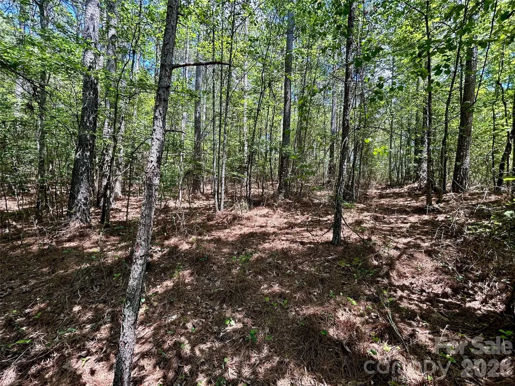 1074 W Hidden Cove Lane Connelly Springs NC 28612