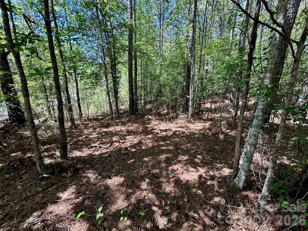 1074 W Hidden Cove Lane Connelly Springs NC 28612