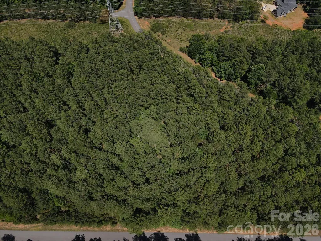 1074 W Hidden Cove Lane Connelly Springs NC 28612