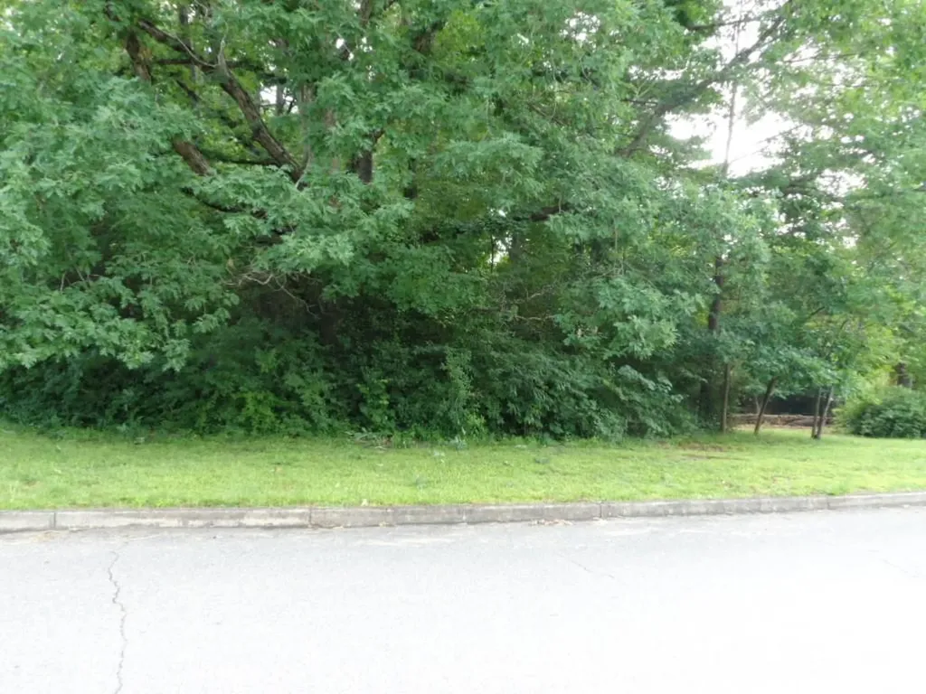 0 Oakwood Street Morganton NC 28655