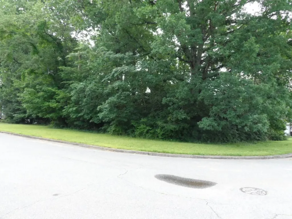 0 Oakwood Street Morganton NC 28655