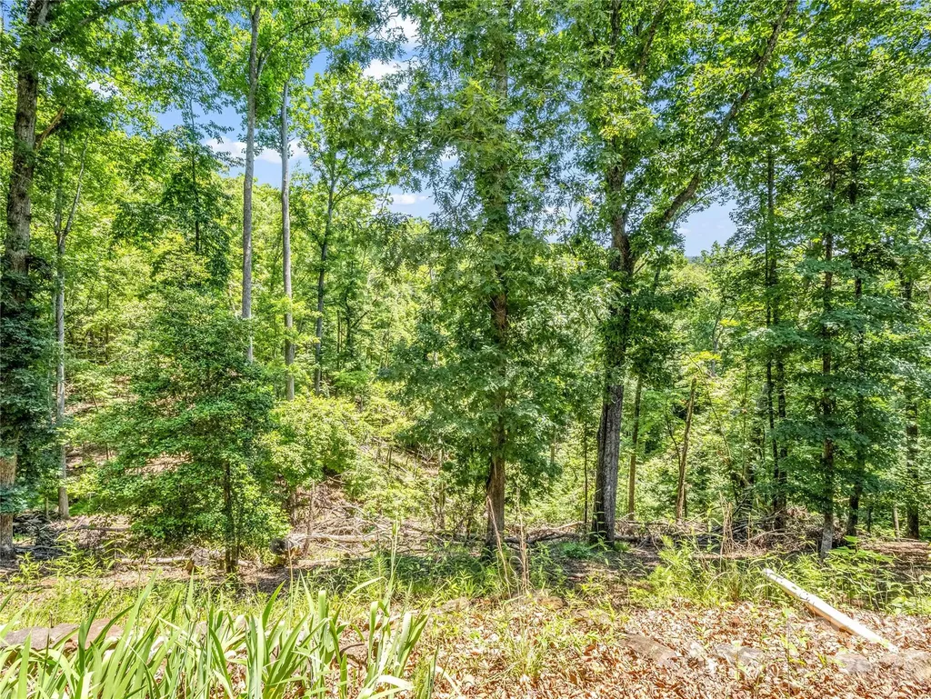137 Amys Ridge Road Lake Lure NC 28746