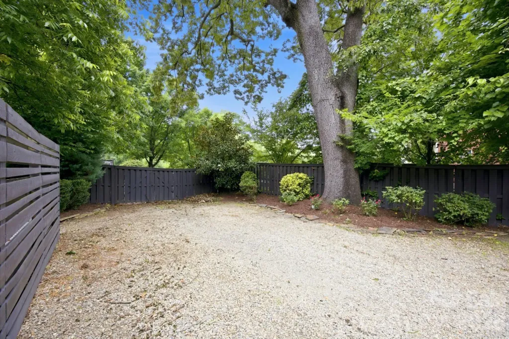 1726 S Mint Street Charlotte NC 28203