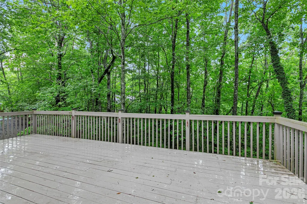 56 Guque Court Brevard NC 28712