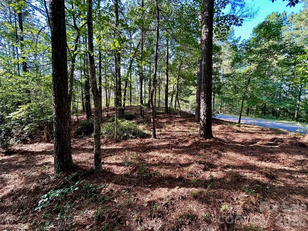 2143 Lighthouse Lane Connelly Springs NC 28612