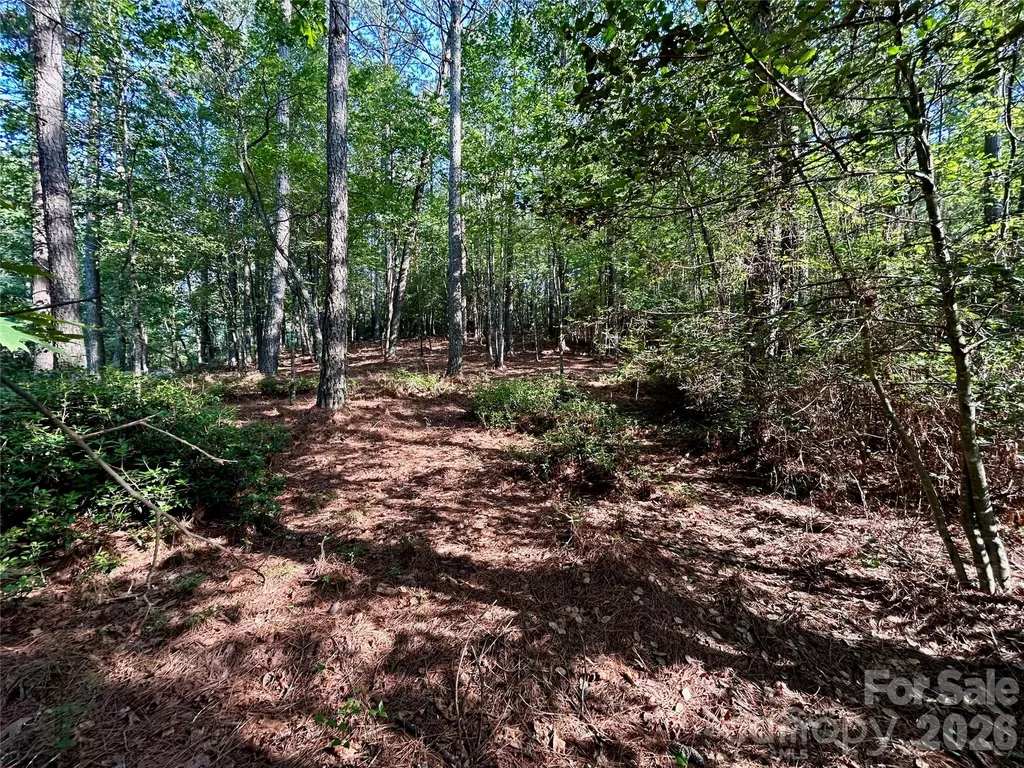 2143 Lighthouse Lane Connelly Springs NC 28612