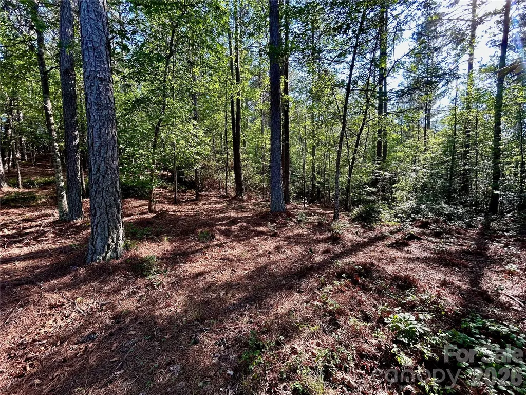 2143 Lighthouse Lane Connelly Springs NC 28612