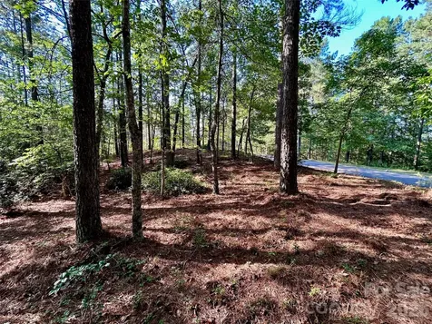 2143 Lighthouse Lane Connelly Springs NC 28612