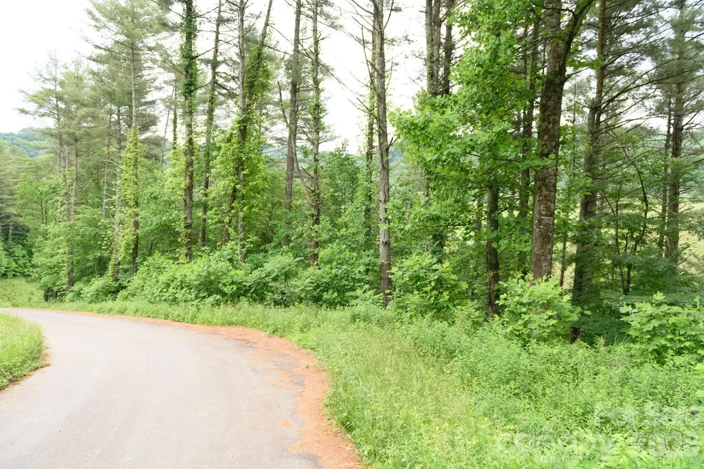 Tbd Sycamore Road Vilas NC 28692