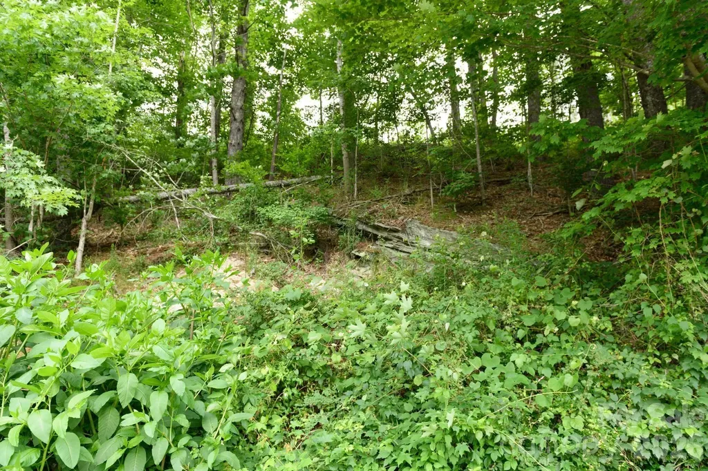 Tbd Sycamore Road Vilas NC 28692
