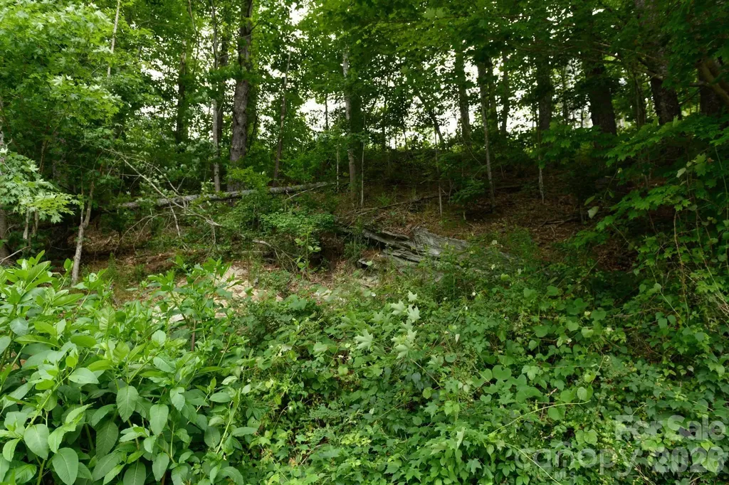 Tbd Sycamore Road Vilas NC 28692