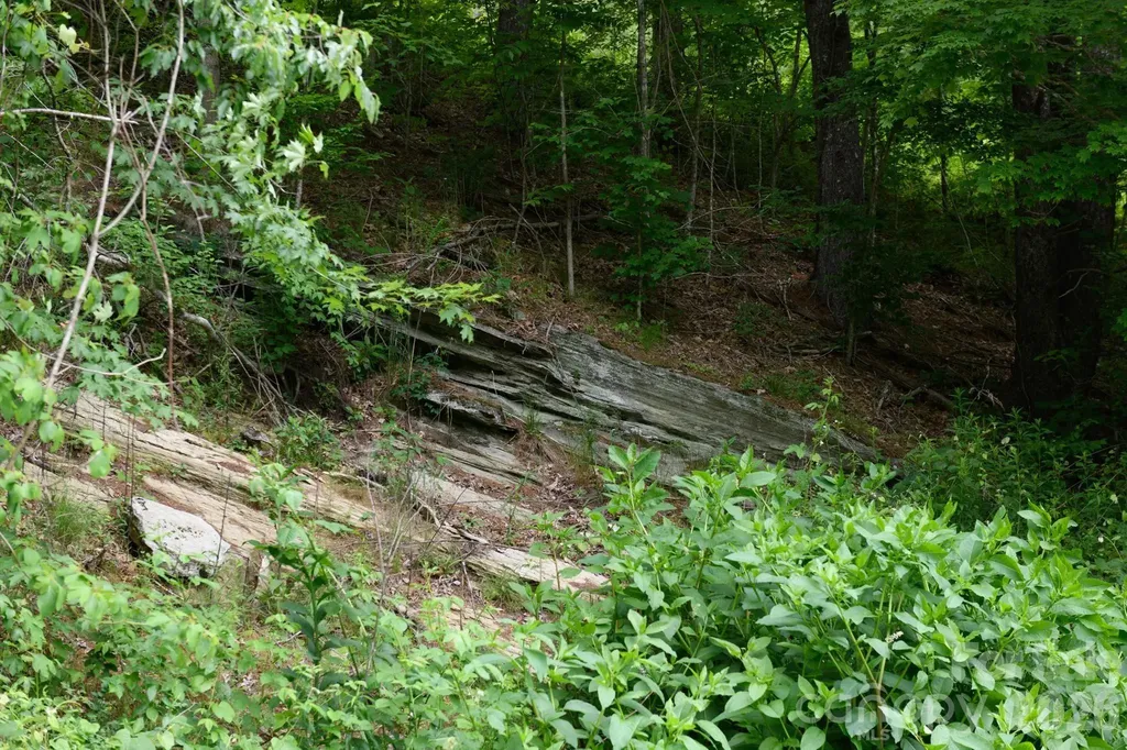 Tbd Sycamore Road Vilas NC 28692