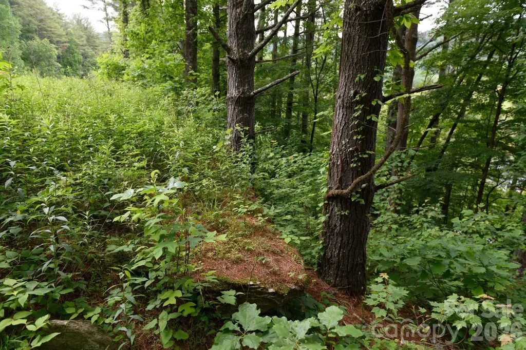 Tbd Sycamore Road Vilas NC 28692