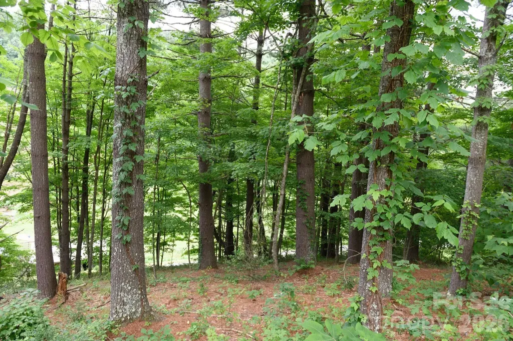 Tbd Sycamore Road Vilas NC 28692