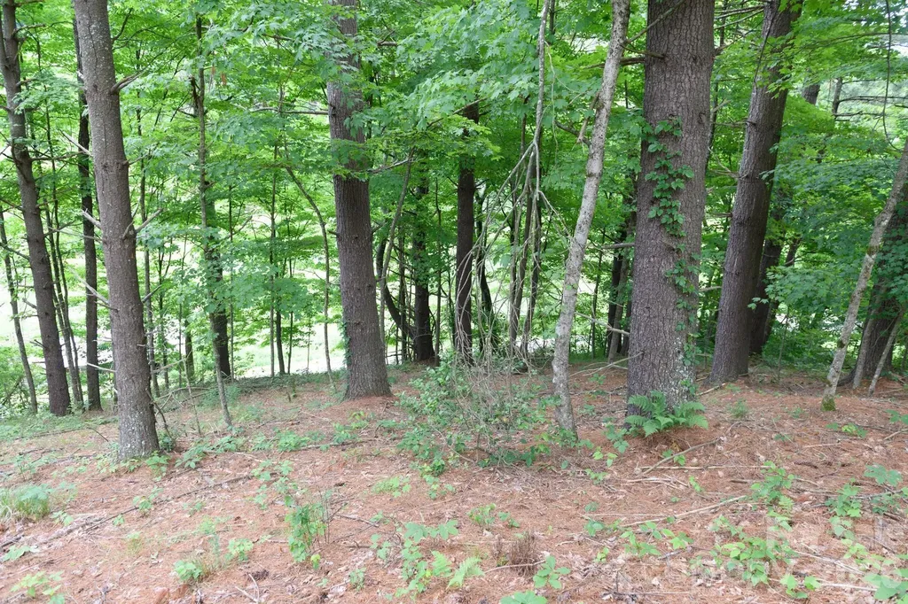 Tbd Sycamore Road Vilas NC 28692