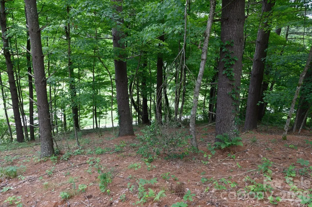 Tbd Sycamore Road Vilas NC 28692