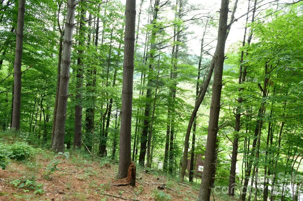 Tbd Sycamore Road Vilas NC 28692