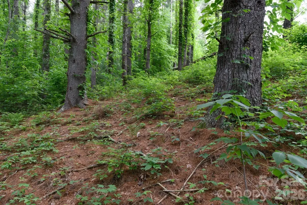 Tbd Sycamore Road Vilas NC 28692