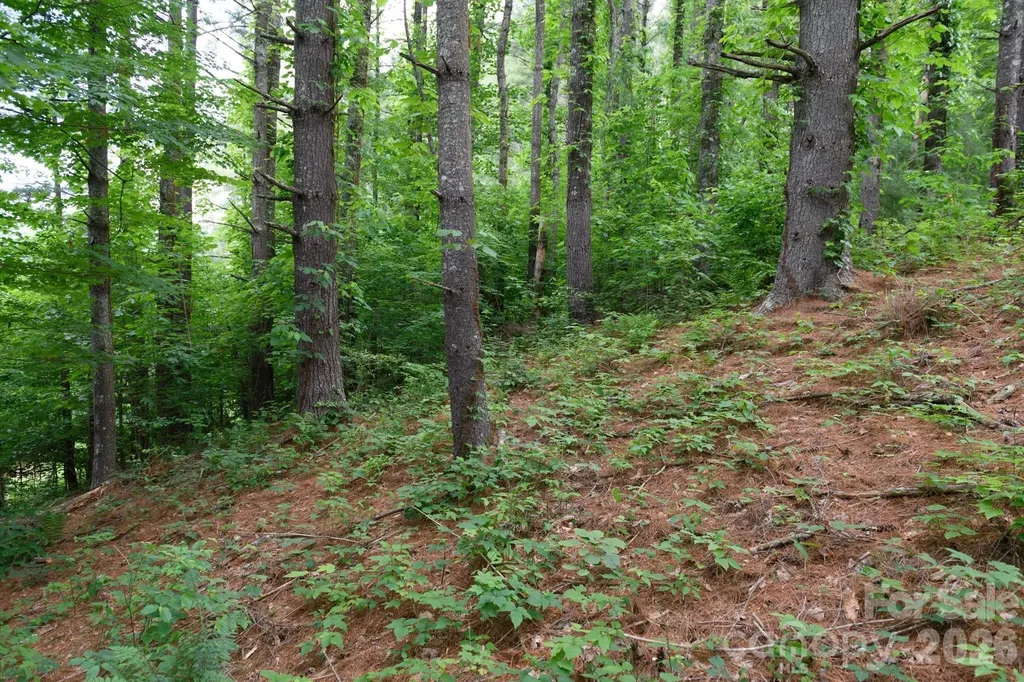 Tbd Sycamore Road Vilas NC 28692