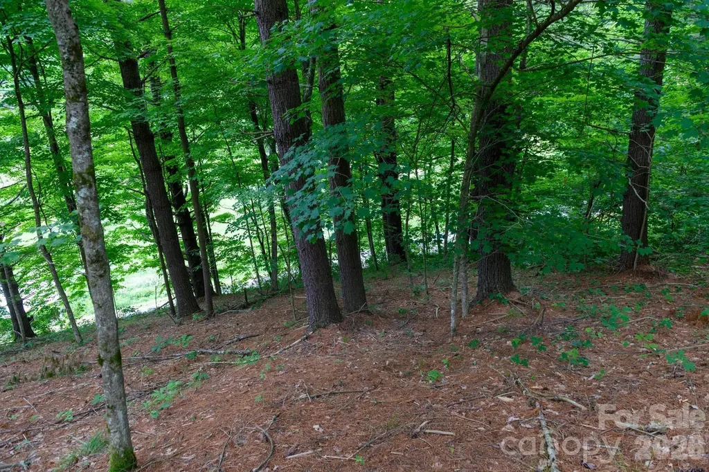 Tbd Sycamore Road Vilas NC 28692