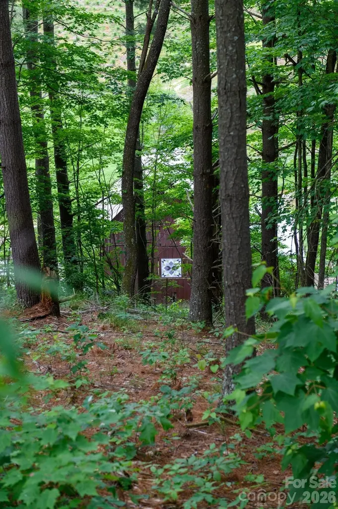Tbd Sycamore Road Vilas NC 28692