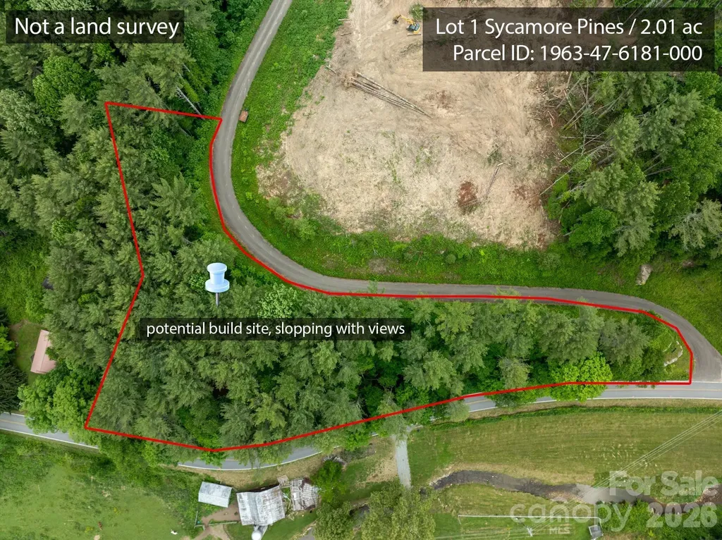 Tbd Sycamore Road Vilas NC 28692