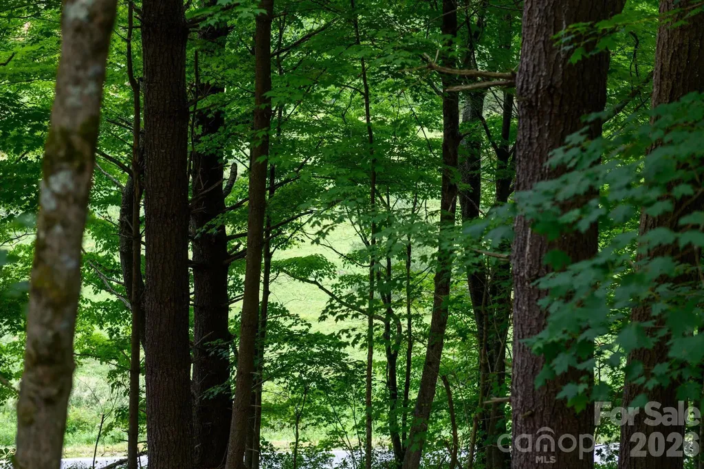 Tbd Sycamore Road Vilas NC 28692
