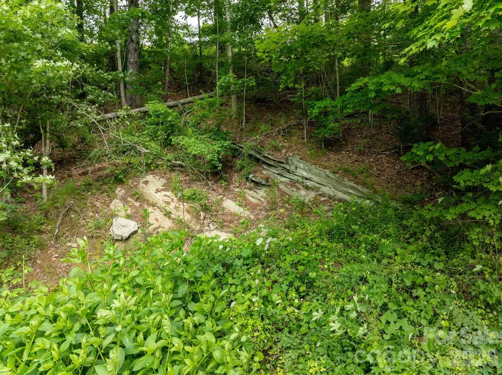 Tbd Sycamore Road Vilas NC 28692