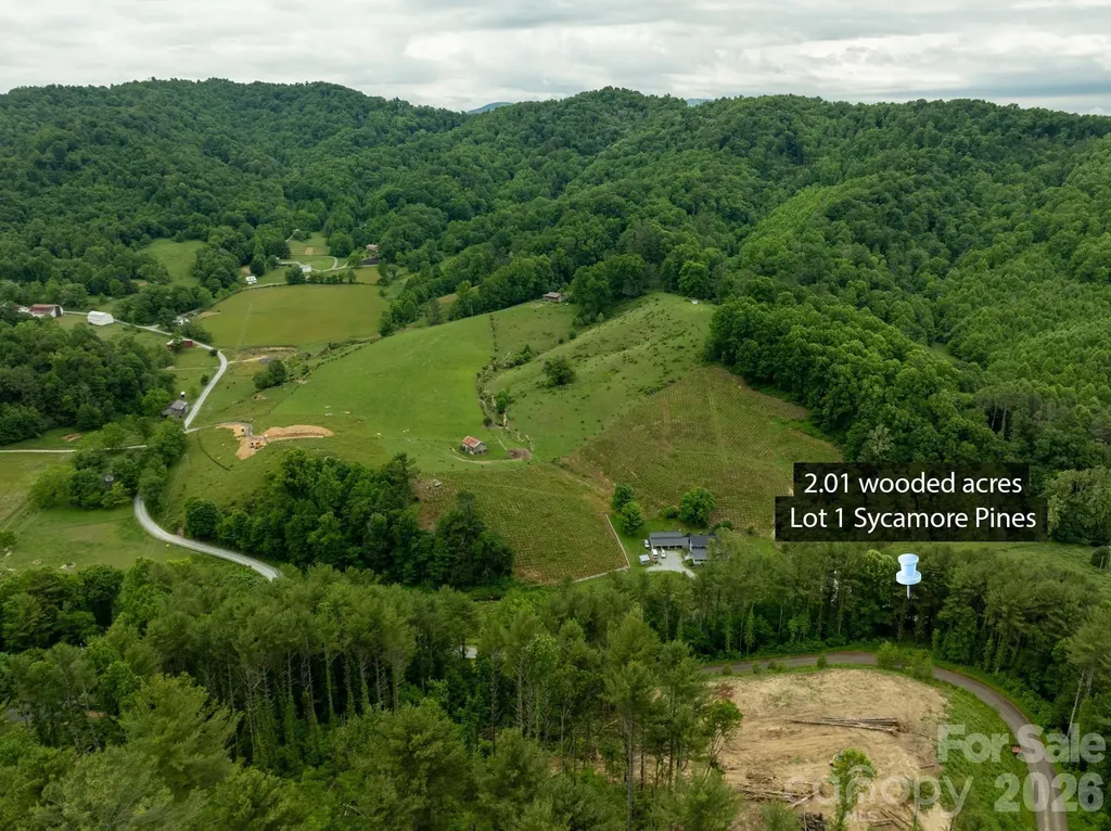 Tbd Sycamore Road Vilas NC 28692