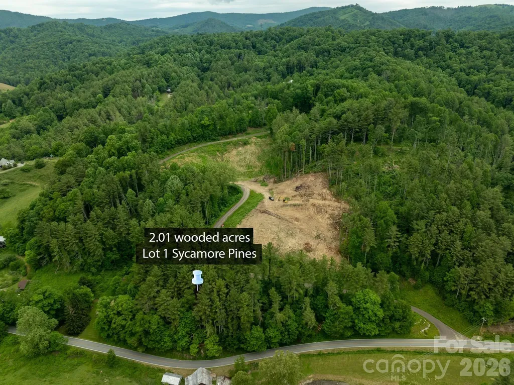 Tbd Sycamore Road Vilas NC 28692