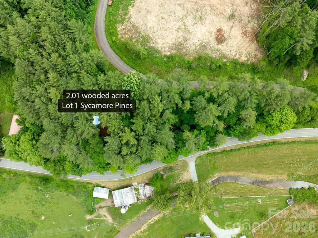 Tbd Sycamore Road Vilas NC 28692