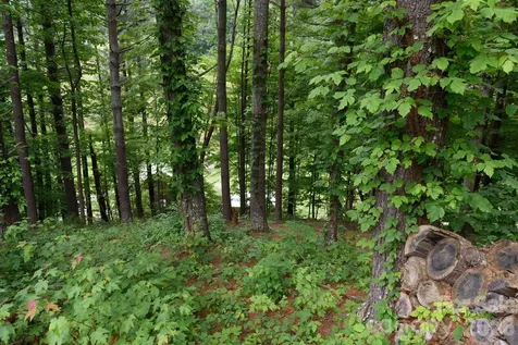 Tbd Sycamore Road Vilas NC 28692