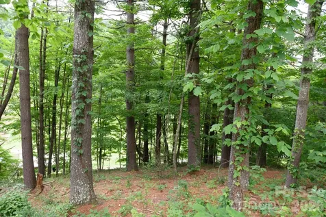 Tbd Sycamore Road Vilas NC 28692