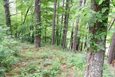 Tbd Sycamore Road Vilas NC 28692