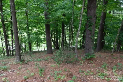 Tbd Sycamore Road Vilas NC 28692